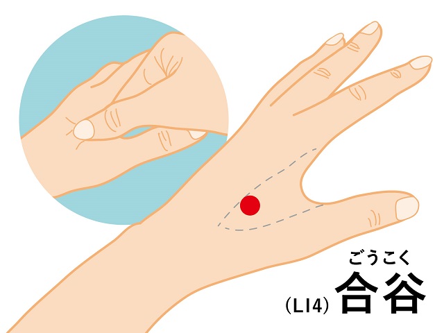 緊張緩和のツボ合谷の図